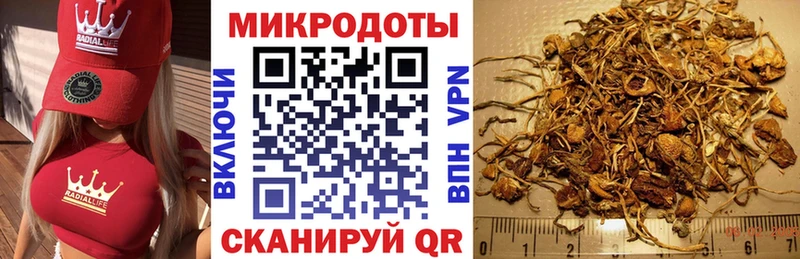 магазин продажи   Спасск-Рязанский  Псилоцибиновые грибы Cubensis 